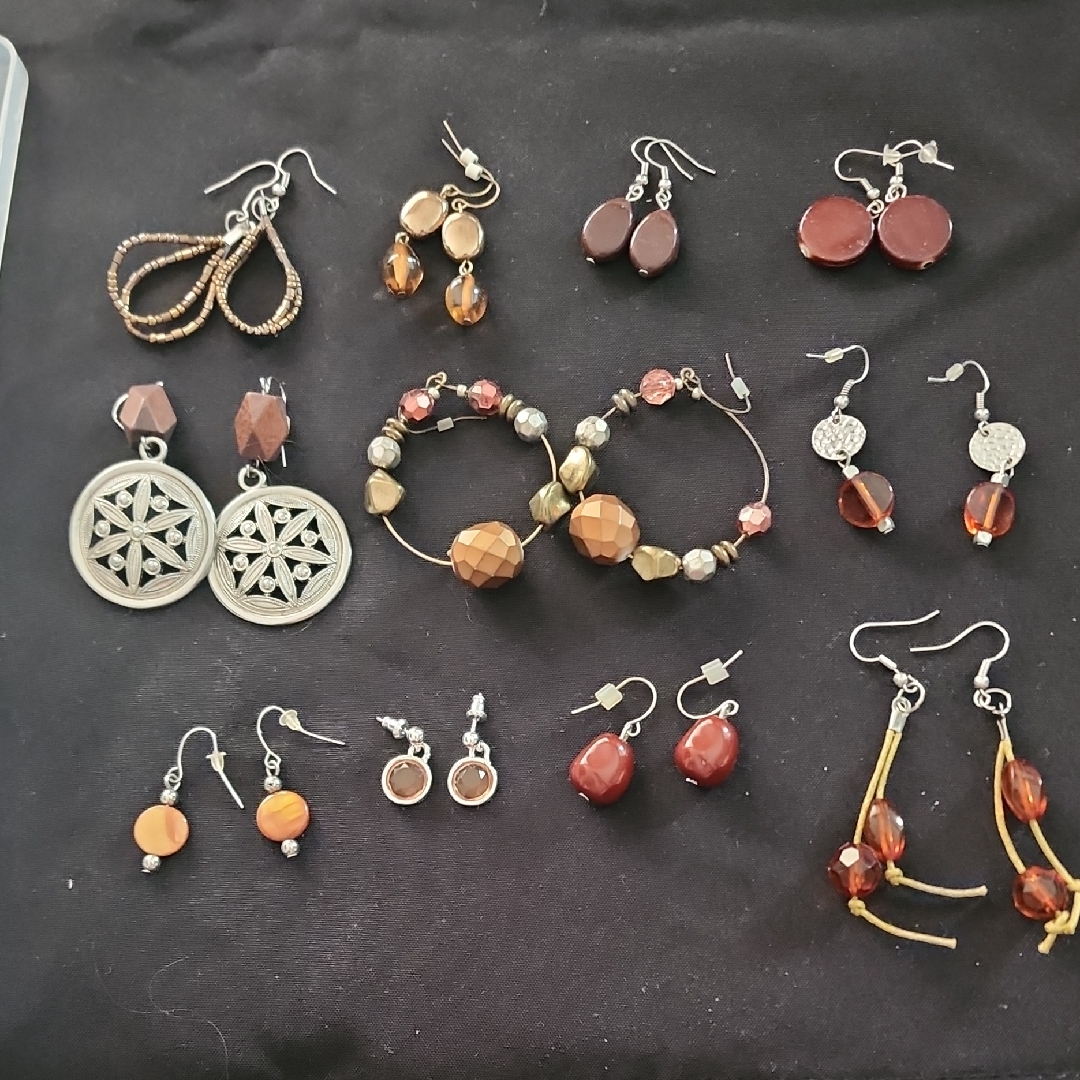 Chic Brown And Silver Earrings Collection 20$